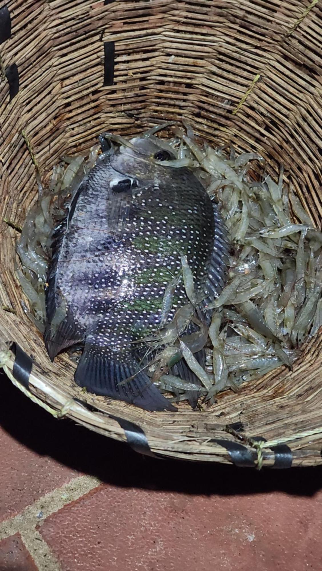 Cheenavala Fishing Homestay Kochi Esterno foto