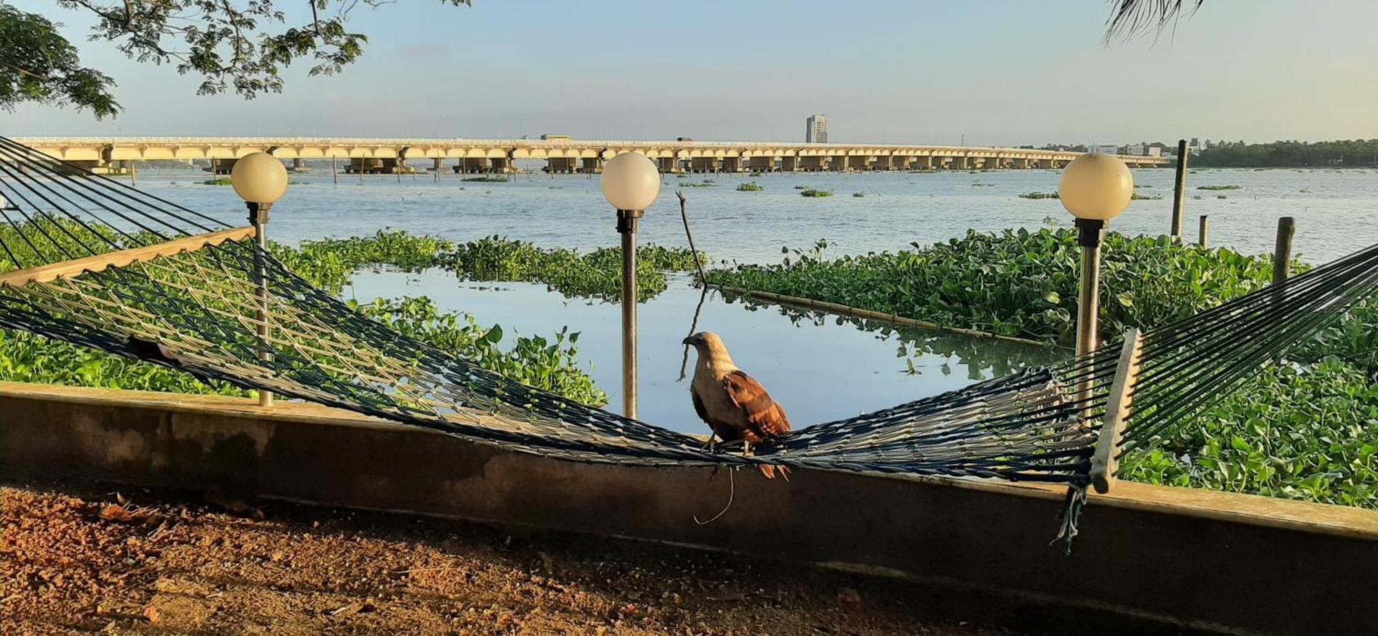 Cheenavala Fishing Homestay Kochi Esterno foto